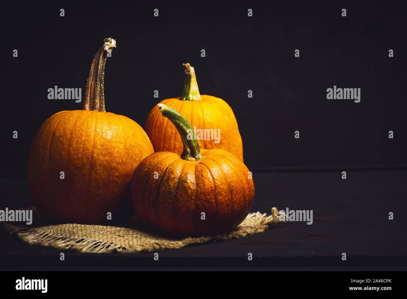 Punkins auf einem urigen Hintergrund für ein Thanksgiving Zusammenfassung Stockfoto