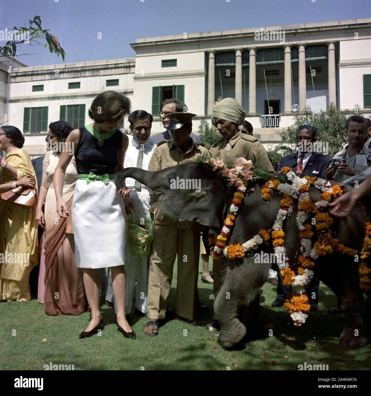 First Lady Jacqueline Kennedy Feeds Elefanten in Indien. Stockfoto