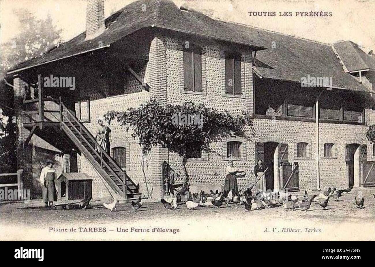 Ferme de l'ENI De Tarbes Années 1900. Stockfoto