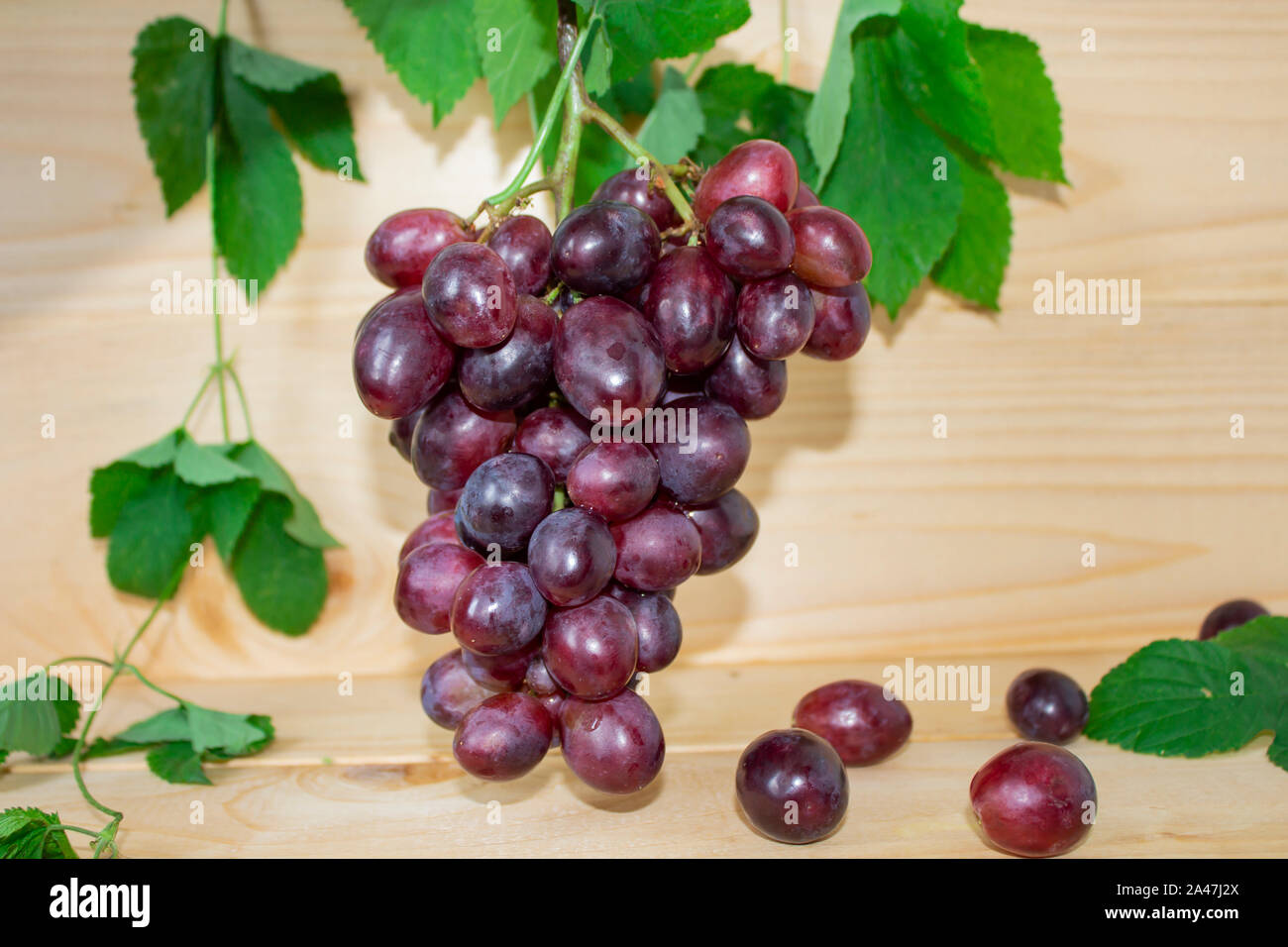 Blumensträuße frische reife rote Trauben auf einem hölzernen Hintergrund. Alte Trauben. Rote Weintrauben. dunklen Trauben, blaue Trauben, Weintrauben, Stockfoto