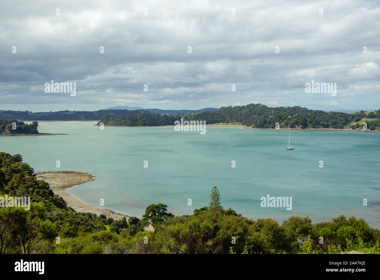 Mahurangi Regional Park nördlich von Auckland, Neuseeland Stockfoto