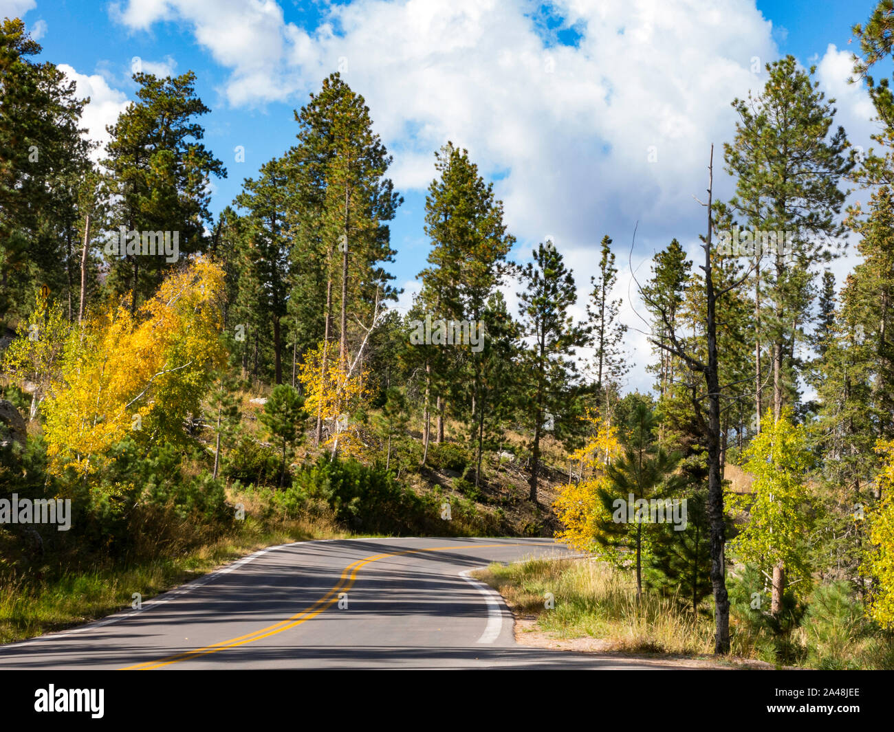 Nadeln-Highway im Custer State Park, South Dakota, USA Stockfoto