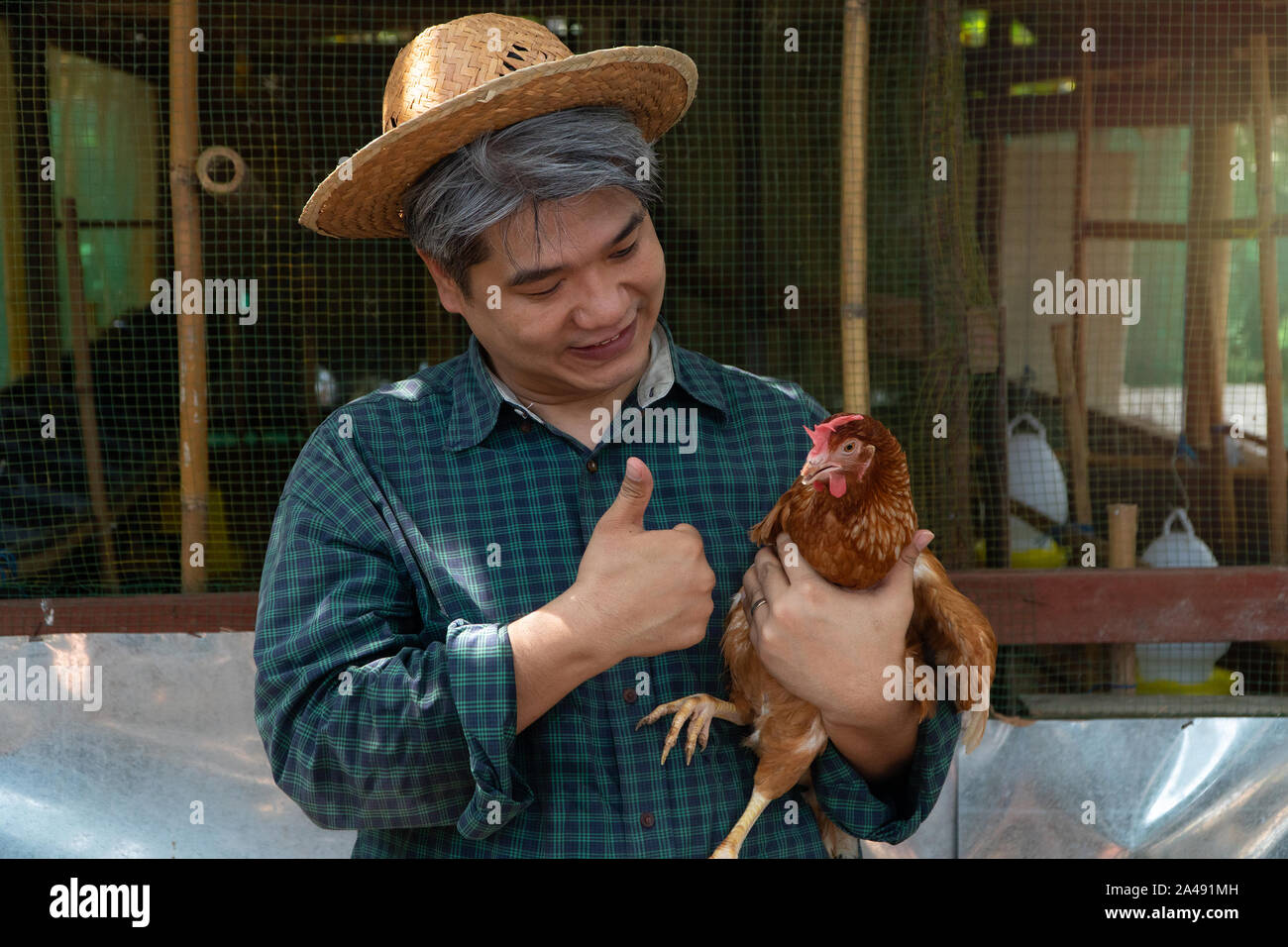 Asiatische Bauern halten Hühner. Auf einer Hühnerfarm in der eigenen Wohnung, mit einem glücklichen Geste Stockfoto