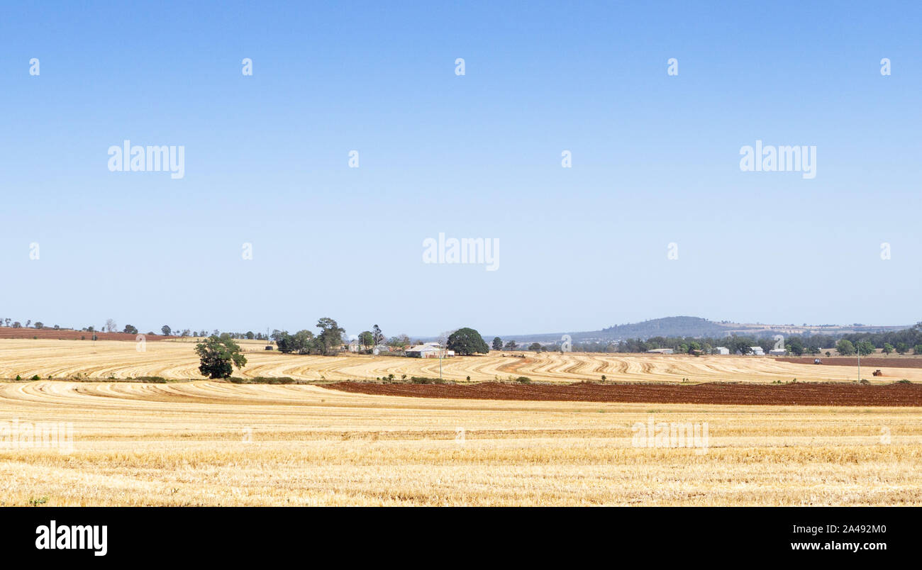 Goldene Felder von Gerste Stockfoto