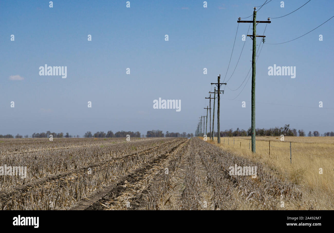 Super große Baumwollfeldern Stockfoto