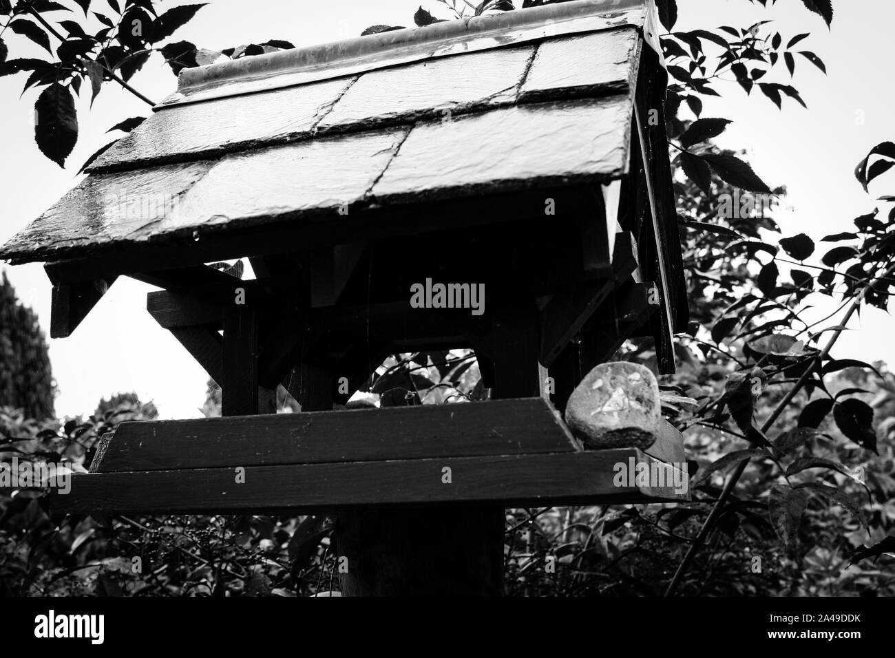 Schwarz und Weiß Bird Feeder Stockfoto