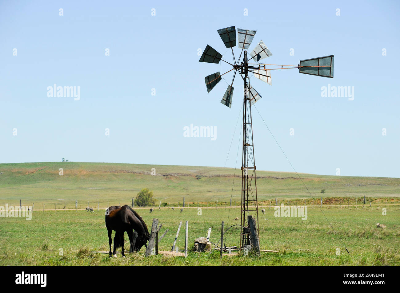 URUGUAY Weideland mit Pferd, alte Windmühle für das Abpumpen von Wasser aus gut Stockfoto