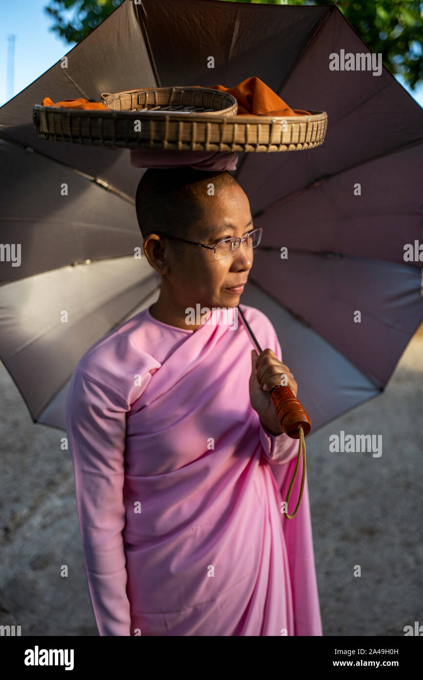 Buddhistische Nonnen in Yangon, Myanmar das Tragen der traditionellen rosa Roben Stockfoto