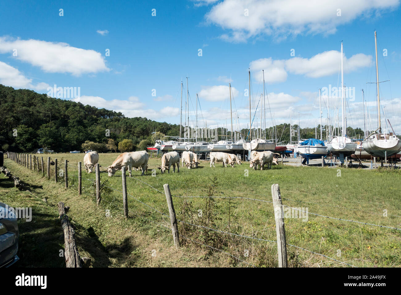 Foleux Stockfoto