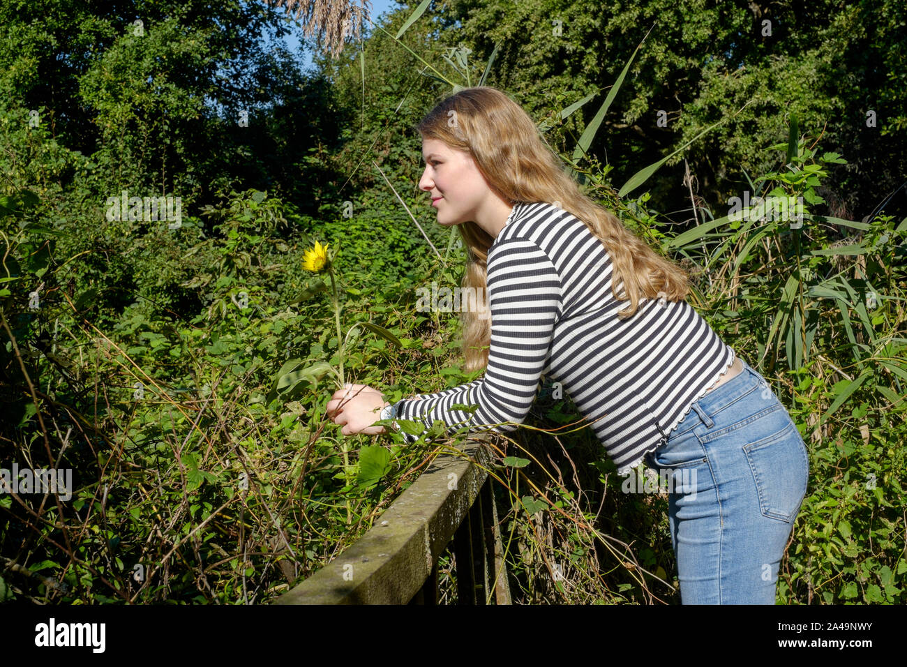 Junge Frau mit langen blonden Haaren steht alleine auf einer Brücke in ländlichen Landschaft holding Blume und Suchen in Gedanken verloren Ungarn Zala county Stockfoto