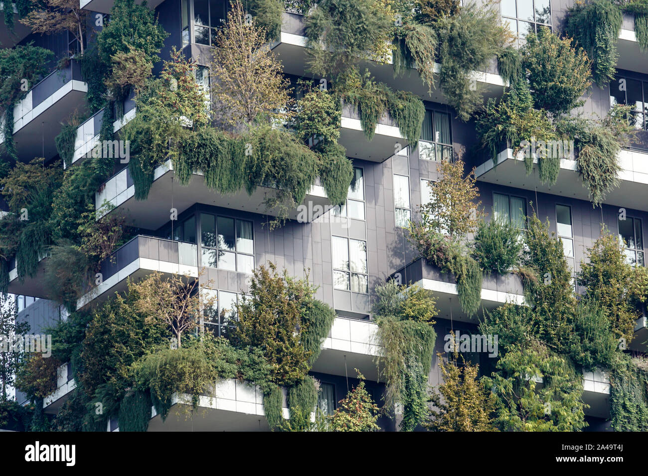 Mailand Italien - Juli 15, 2016: Zwei Wohntürme mit Bäumen und Büschen auf große Balkone genannt Bosco Verticale im Zentrum von Mailand zu unterstützen Stockfoto