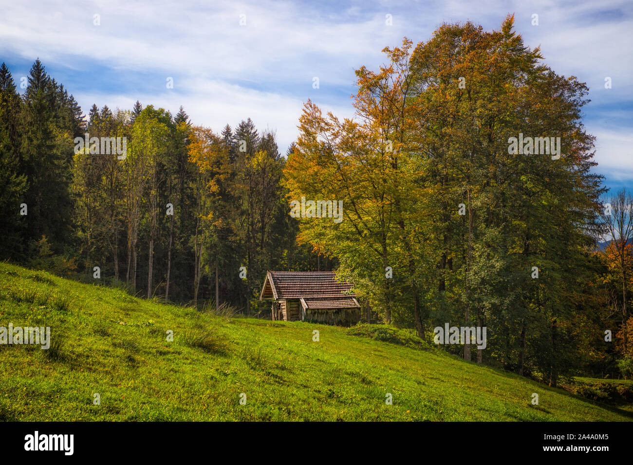 Eine kleine Hütte in den bayerischen Alpen in der Nähe von Ascheberg. Ein herrlicher Wald rahmt die Hütten ein. Stockfoto