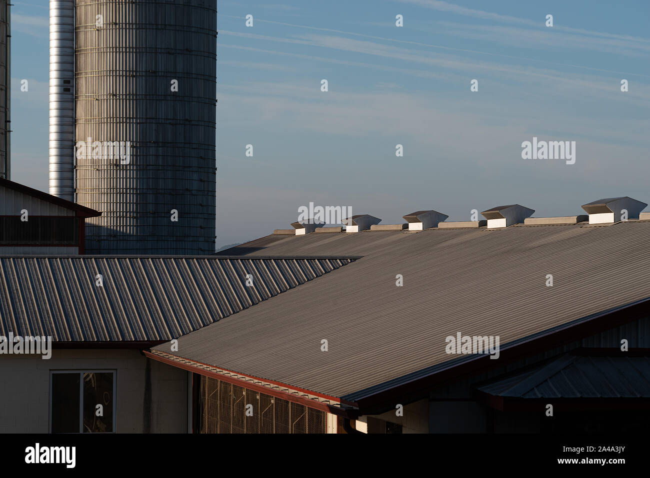 Silo- und landwirtschaftliches Gebäude Dächer Stockfoto