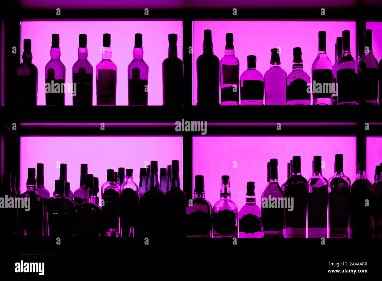 Flaschen im Regal sitzen in einer Bar, beleuchtete mit neon blau  Stockfotografie - Alamy