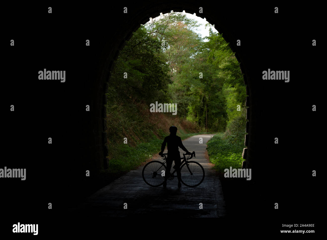 Weibliche Radfahrer tunnel Silhouette, Côte de Beaune Radweg, Frankreich. Stockfoto