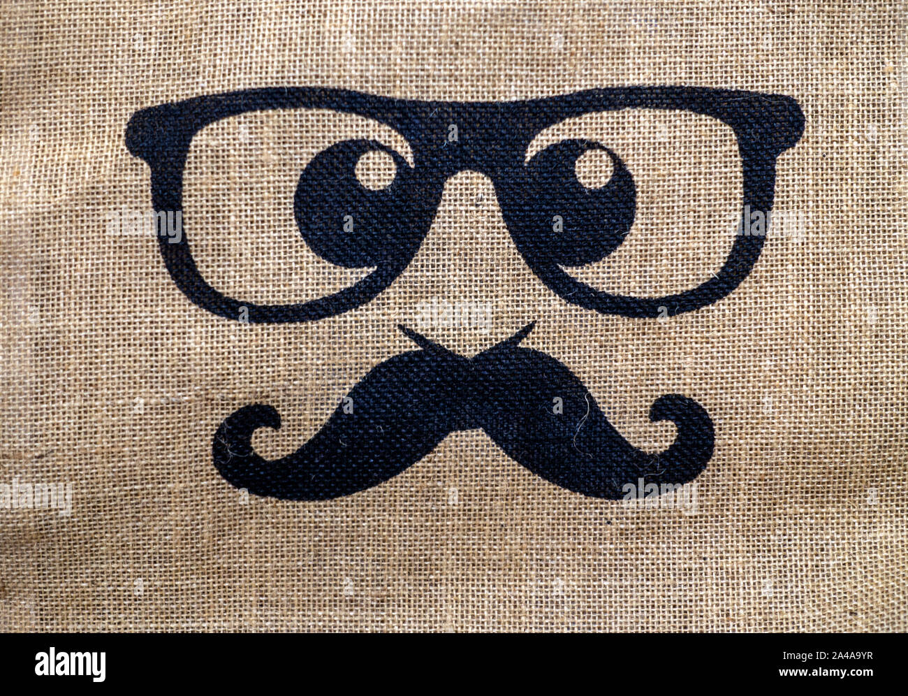 Vektor Mann Gesicht mit Brille und Schnurrbart auf Leinwand Stockfoto