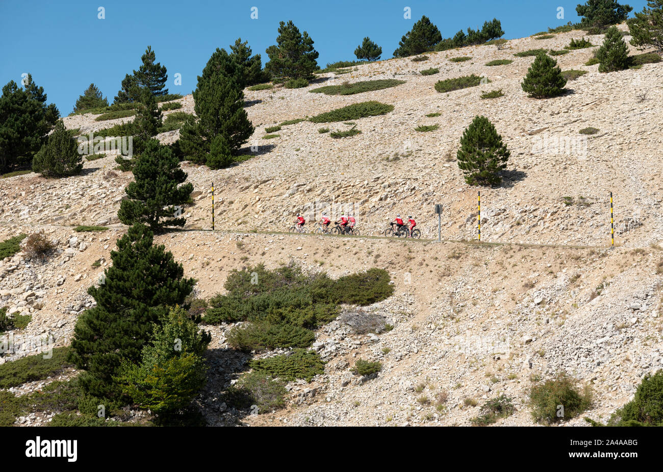 Gruppe von Reitern, die Bewältigung der berühmten Besteigung des Mont Ventoux, Provence, Frankreich. Stockfoto