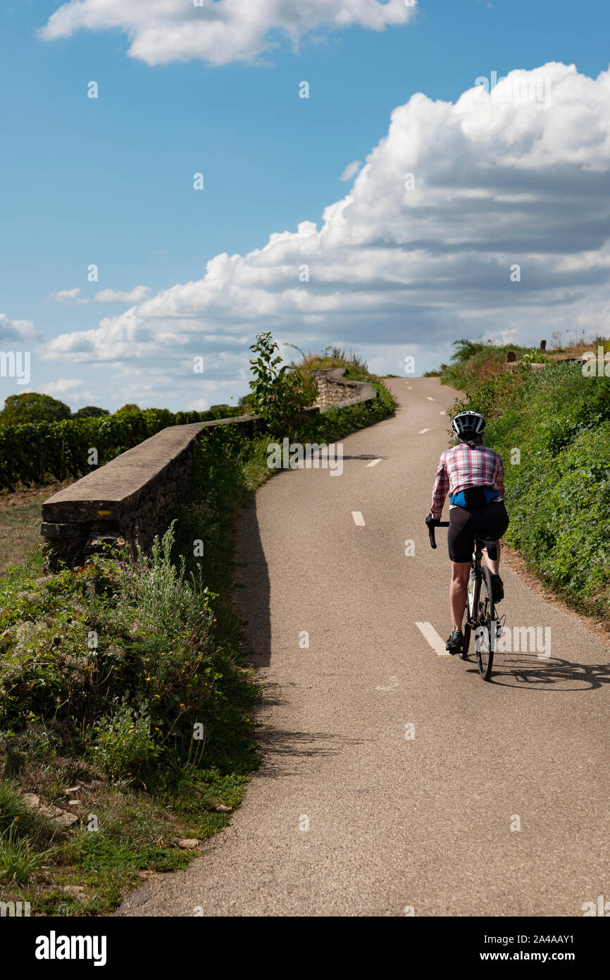 Weibliche Radfahrer Touring der Côte de Beaune, Burgund, Frankreich. Stockfoto