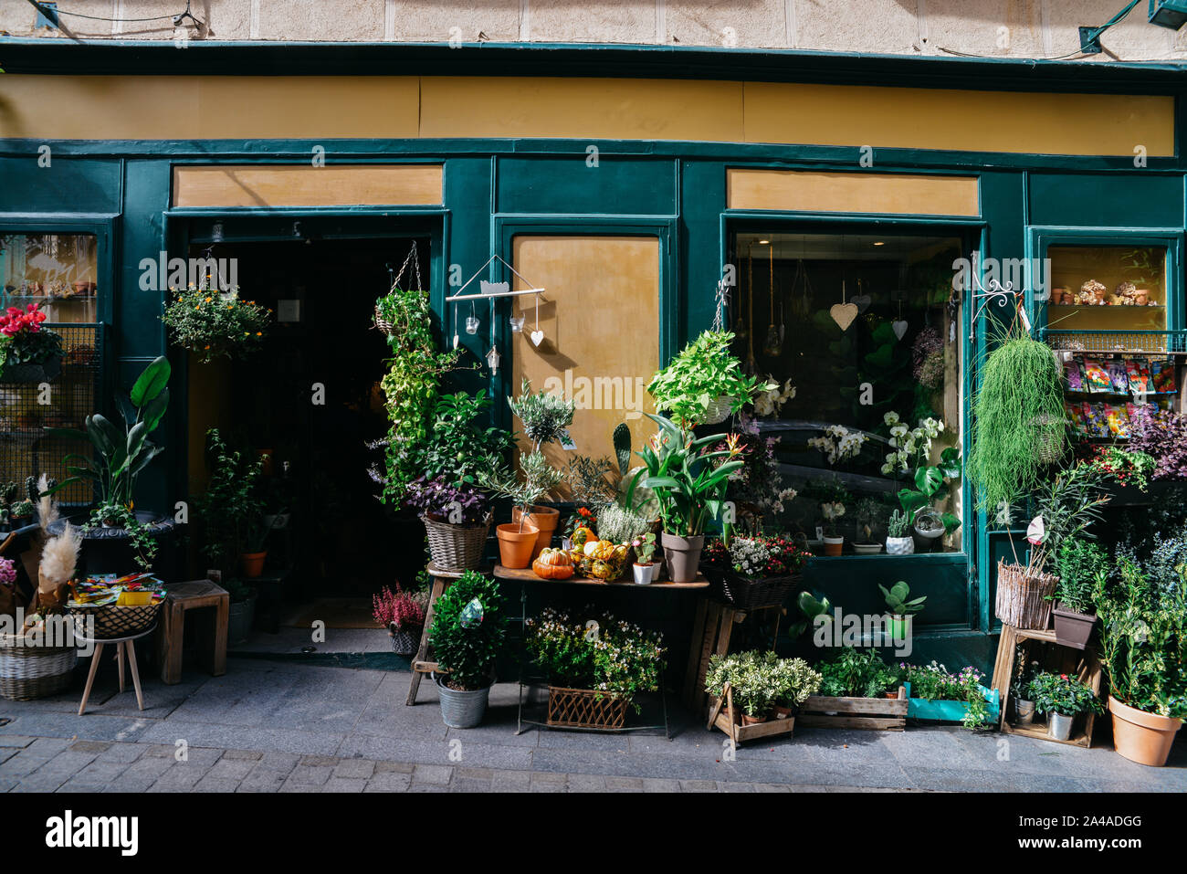 Fassade des Flower Shop mit verschiedenen Arten von Pflanzen auf dem Display. Stockfoto