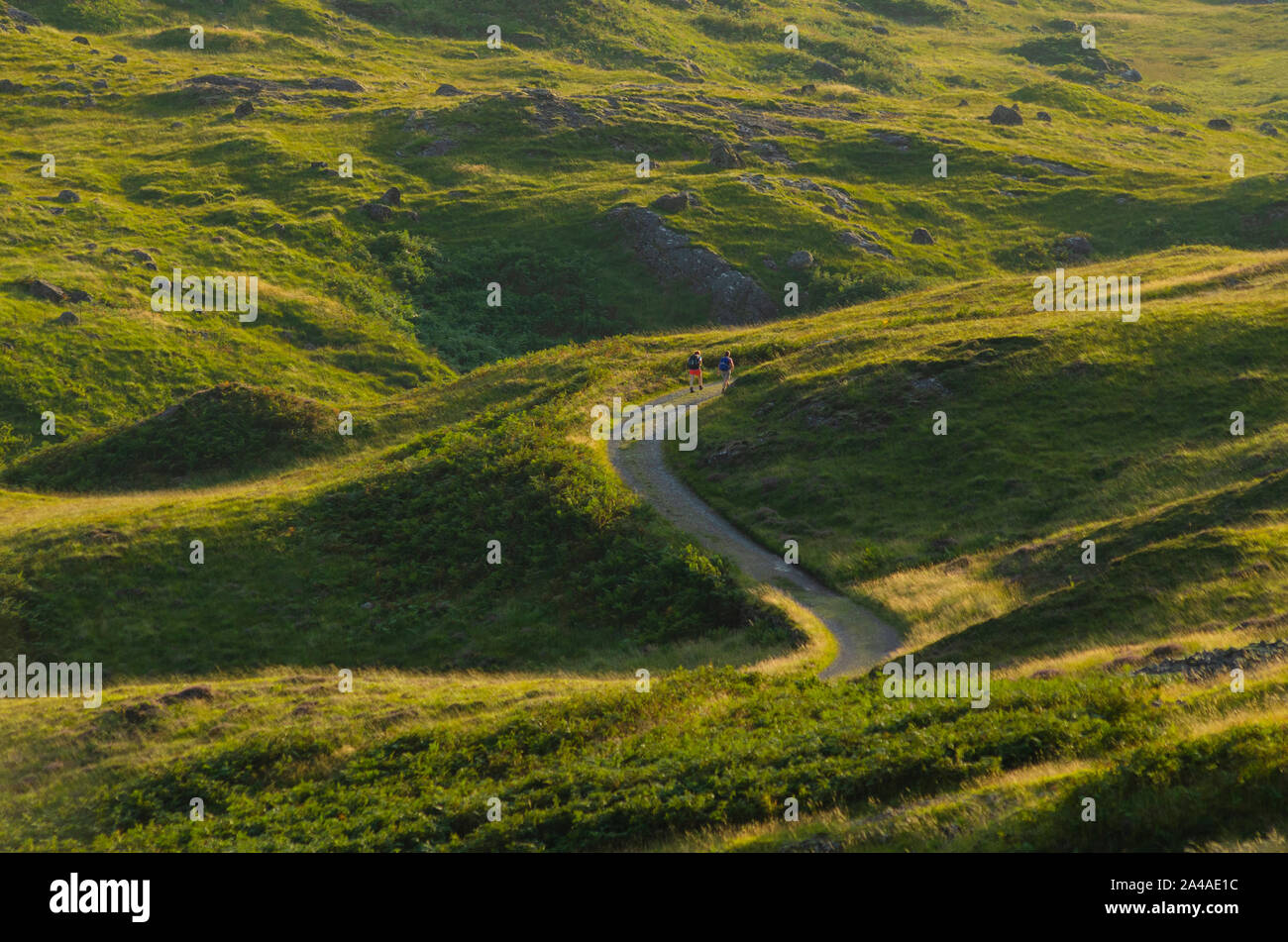 Ein paar Wanderer auf dem West Highland Way in der Nähe von Glencoe in den schottischen Highlands Schottland Großbritannien Stockfoto
