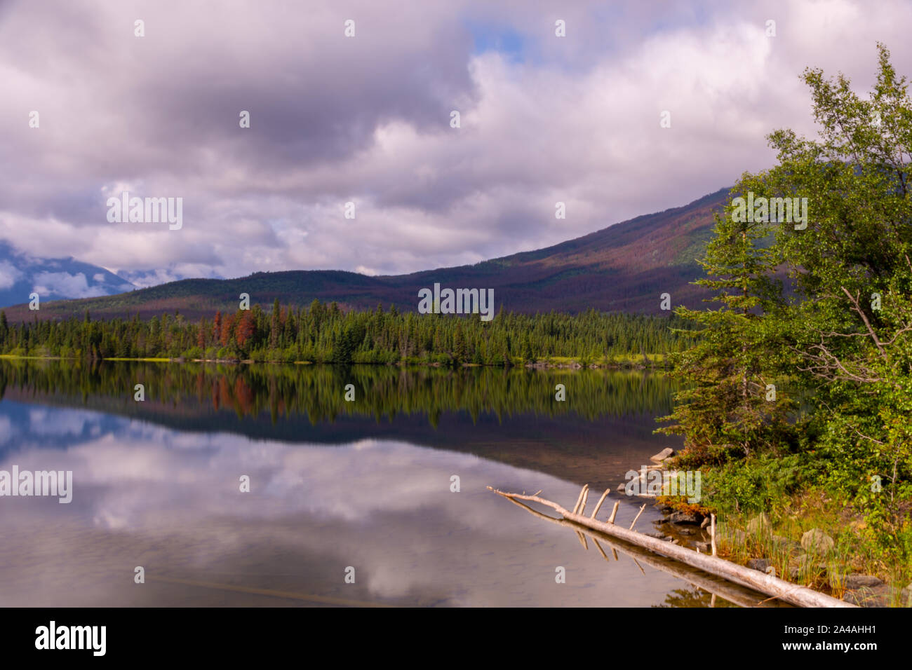 Blick auf Pyramid Lake, Jasper, Kanada Stockfoto