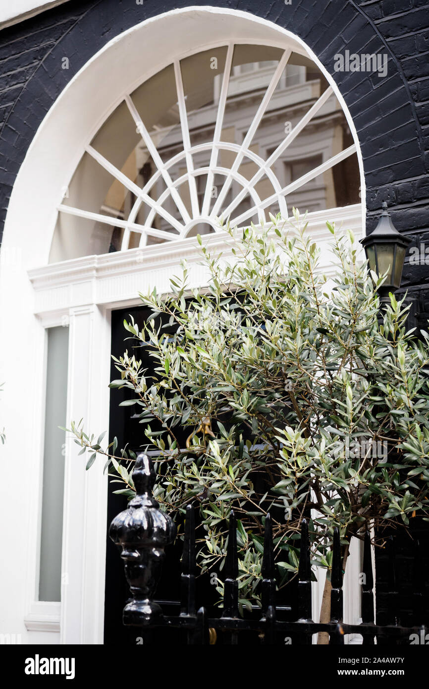 Elegantes Haus Eingang in London Stockfoto
