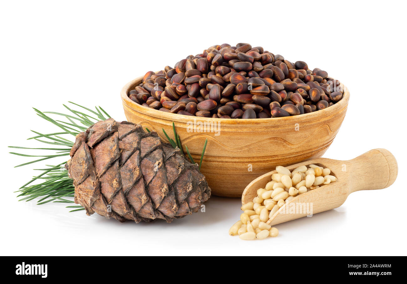 Ungeschälte Cedar nuts in Schale und Kerne in Holz- Schaufel mit Pine Cone auf Zweig auf weißem Hintergrund Stockfoto