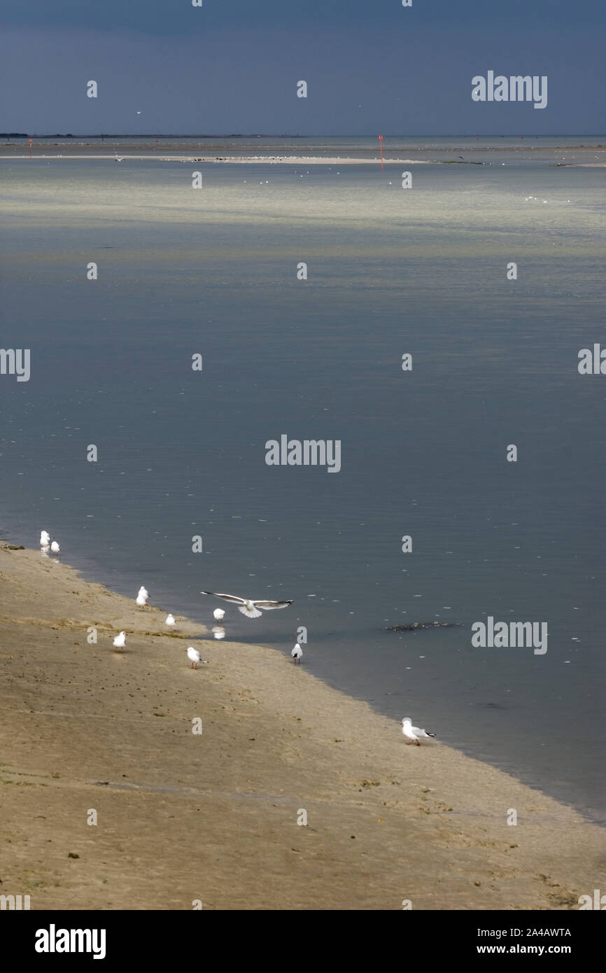 La Baie de Somme, Kayak et Voiliers, Ciel nuageux, mer Calme, l Stockfoto