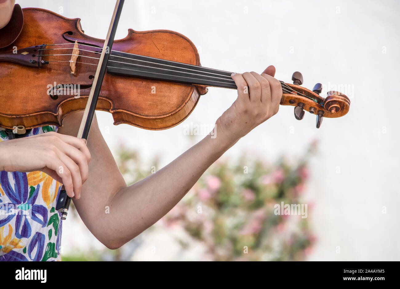 7/8-Ansicht von Frau im Kleid mit Blumen spielen eine Violine gegen verwackelte weißen Hintergrund mit Blumen Stockfoto