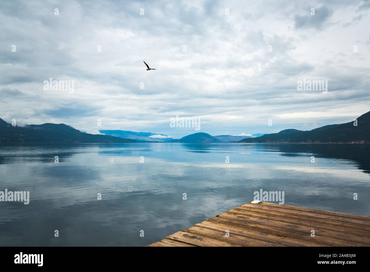 Moody Landschaft mit dunklen Wolken in ruhigen See mit Blick auf die Berge und fliegenden Vogel in den Himmel reflektieren Stockfoto