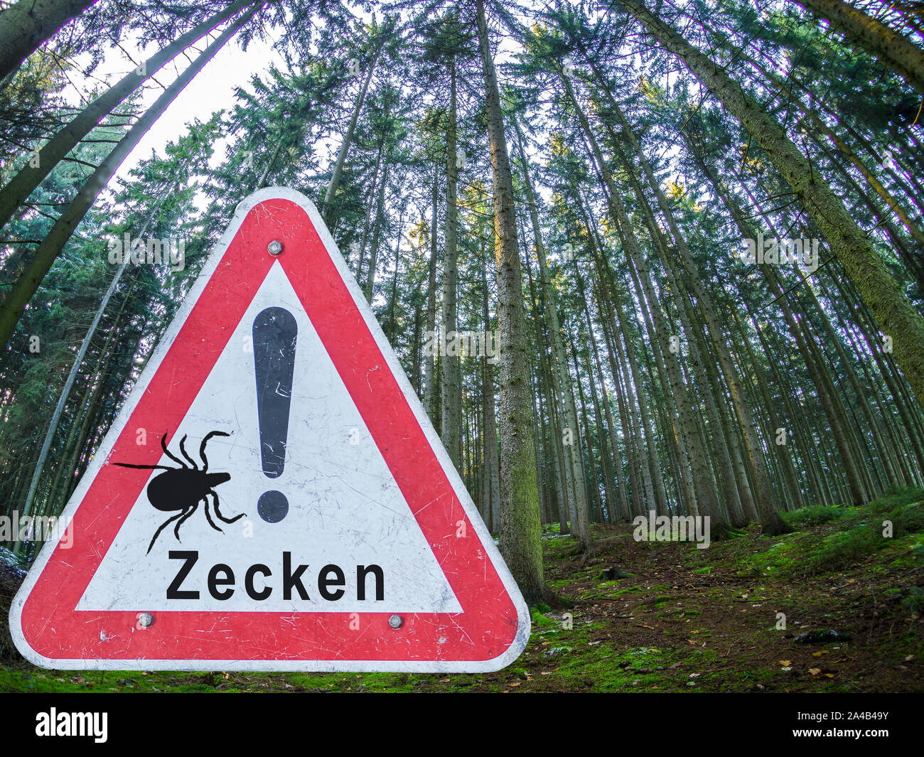 Warnzeichen Aufmerksamkeit Zecken in deutscher Sprache Stockfoto