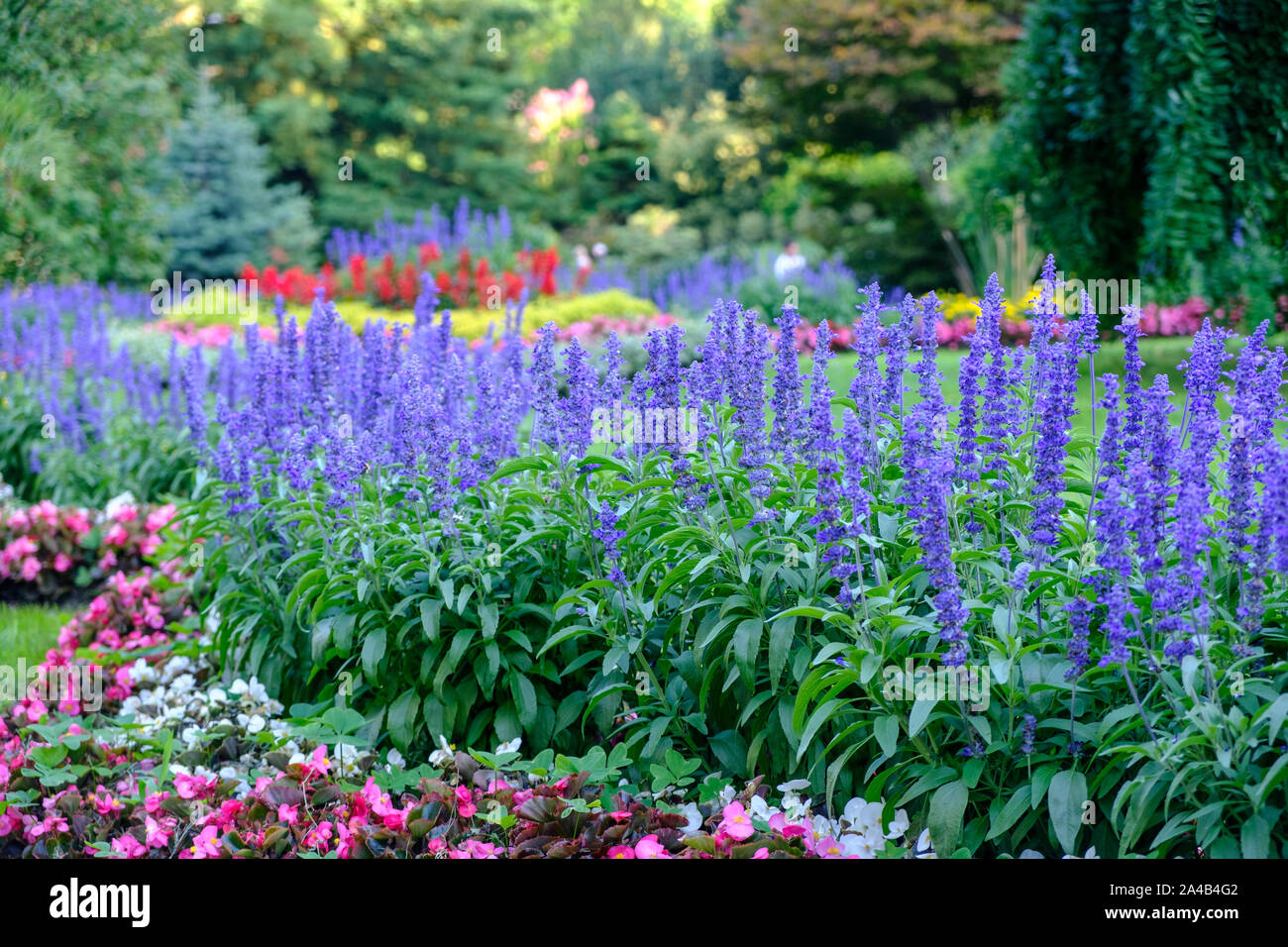 Blumenbeete im Jardin Le Coq (Jardin des Plantes de Clermont-Ferrand) in Clermont-Ferrand) Frankreich Stockfoto
