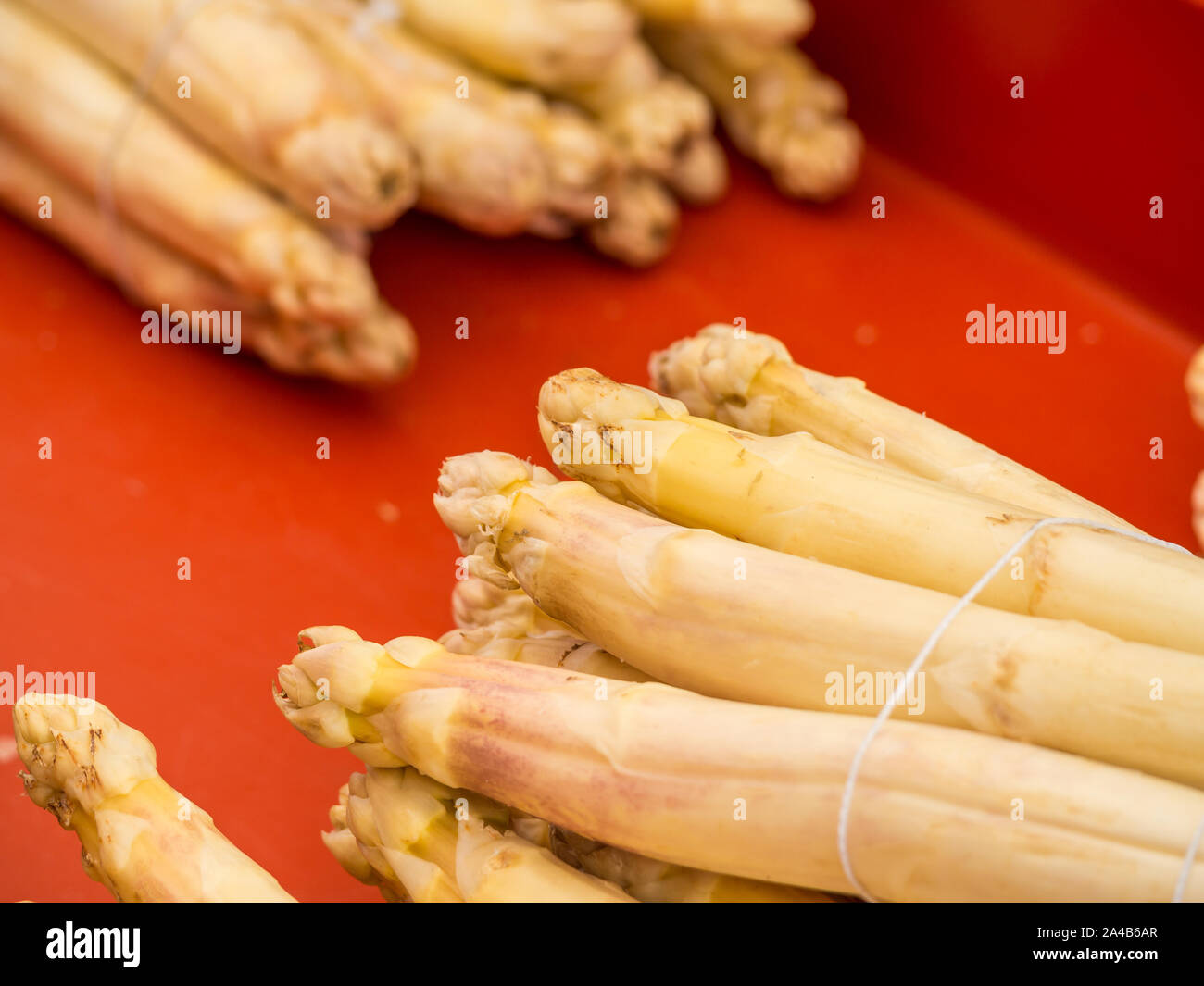 Weißer Spargel isoliert Stockfoto