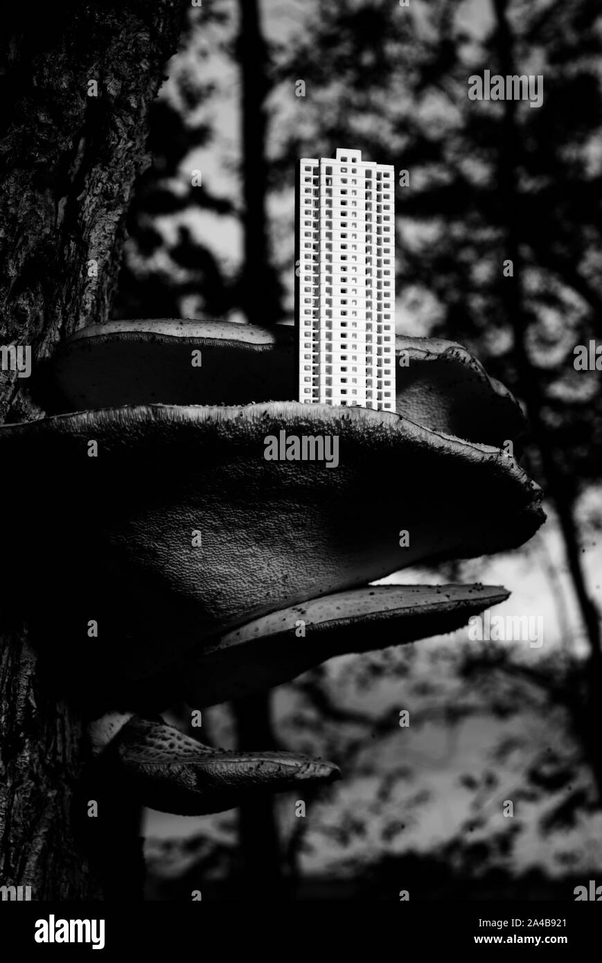 Skyscraper auf einen Pilz Stockfoto