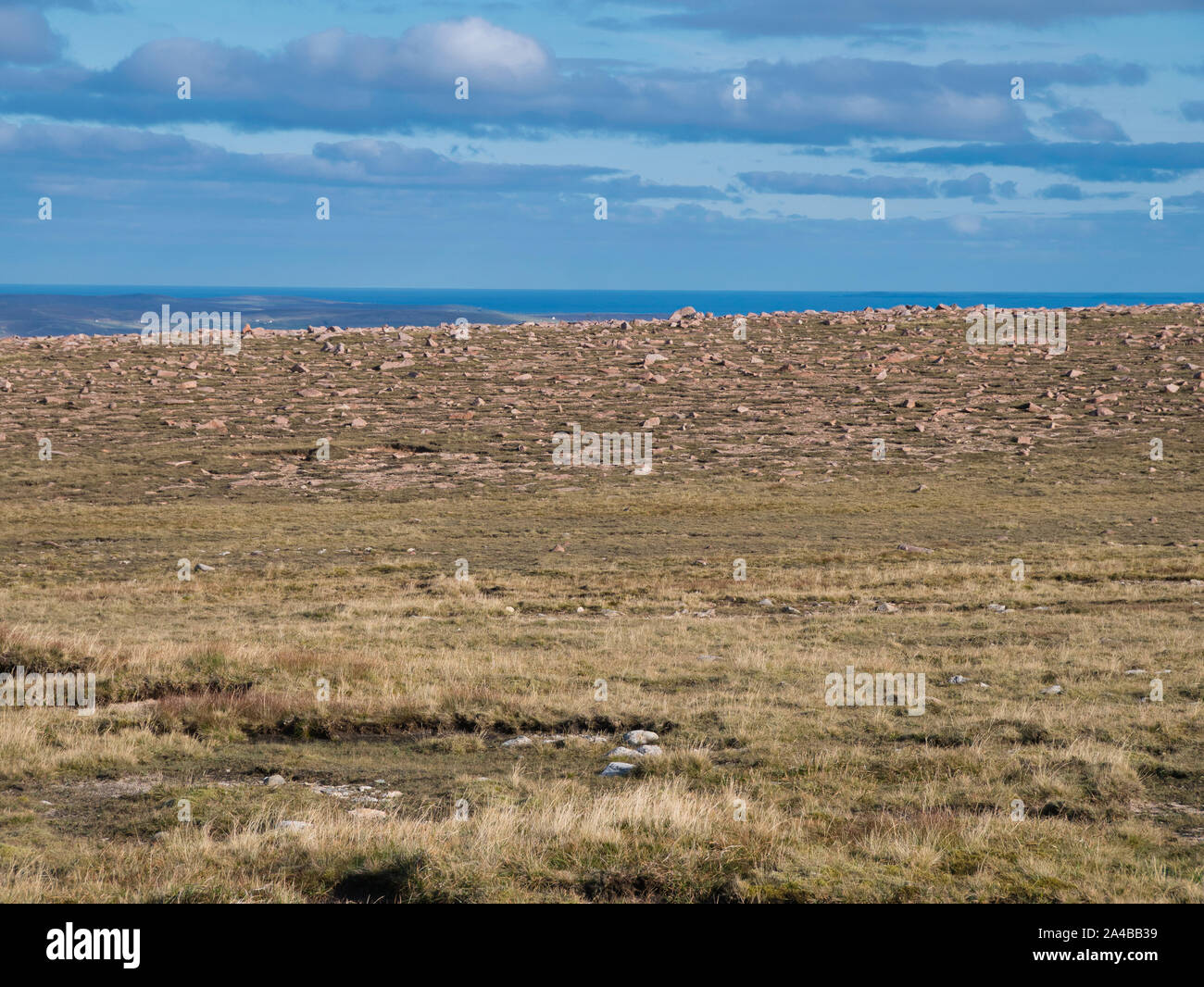 Eine optische Illusion von einer Steinmauer, aber ist eigentlich die Felsen übersät Nach oben von ronas Hügel in Northmavine, Shetlandinseln, Schottland, Großbritannien. Stockfoto