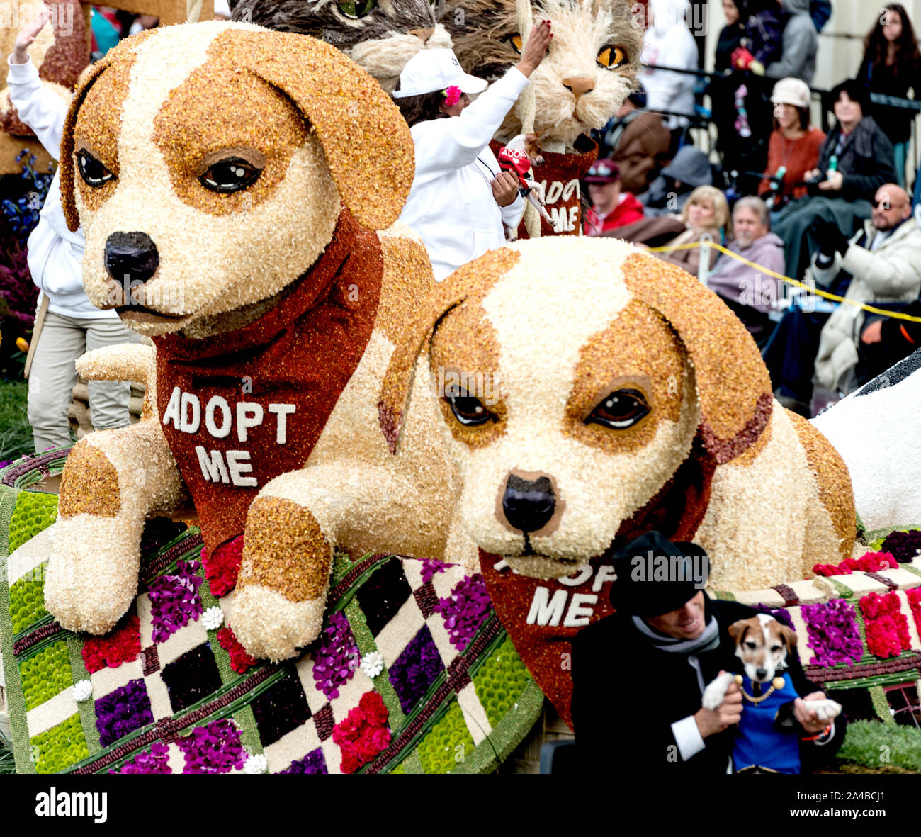 Die Beverly Hills Pet Care Foundation's folgen Sie der Sterne - - Verabschiedung eines Pet-Schwimmer im 124 Rose Parade in Pasadena, Kalifornien Stockfoto