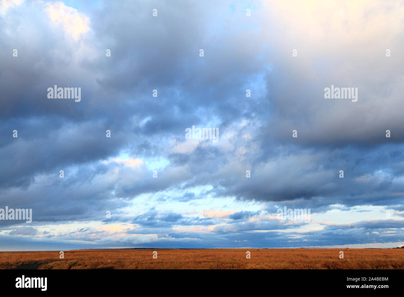 Salzwiesen, reed Bett, Herbst, Landschaft, Thornham, NW Norfolk, England, Großbritannien Stockfoto