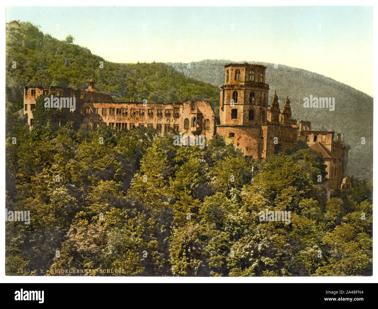 Die Burg, von der Terrasse aus, Heidelberg, Baden, Deutschland gesehen Stockfoto