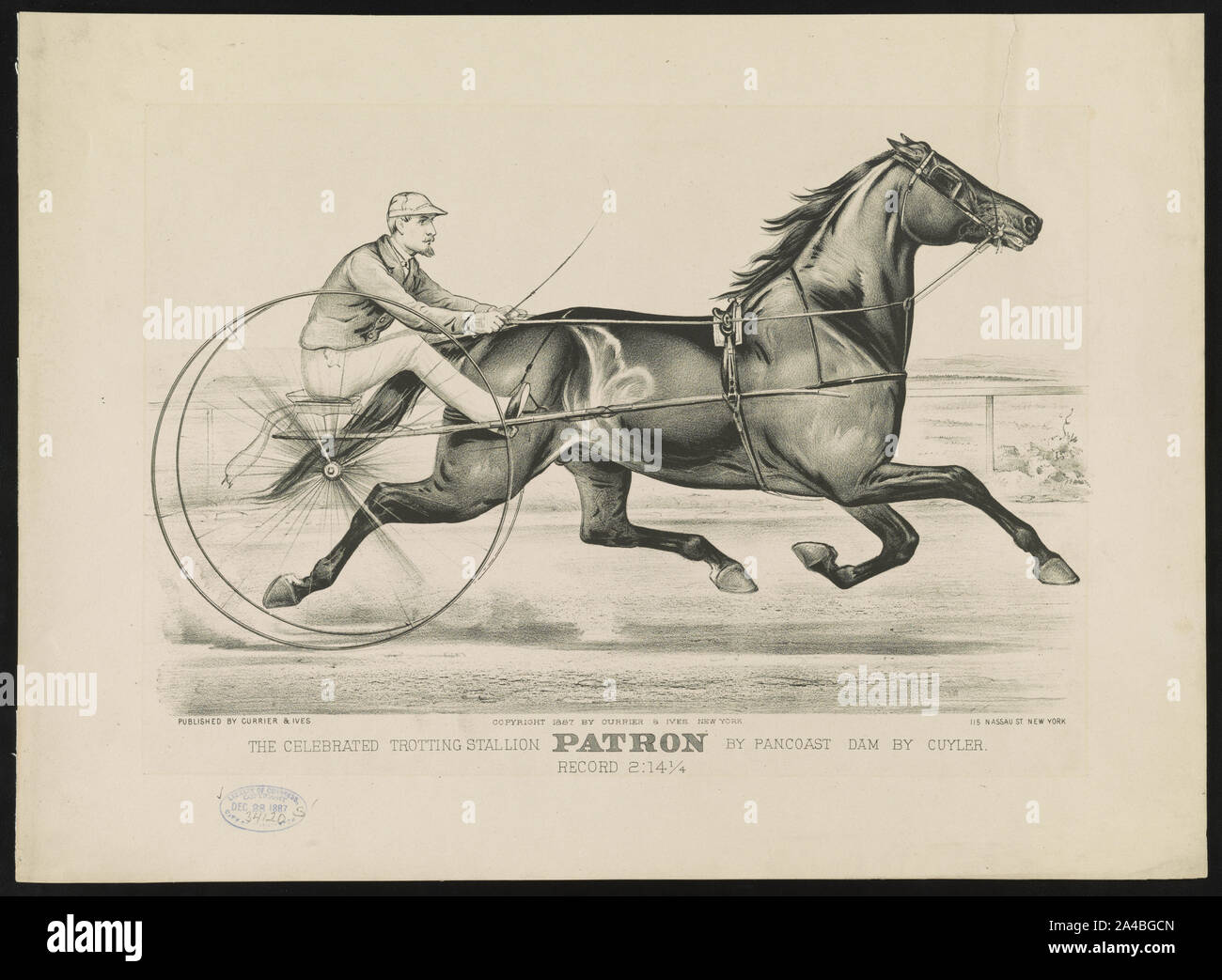 Die gefeierte trotting Stallion Patron durch Pancoast dam durch Cuyler: Rekord 2:14 1/4 Stockfoto