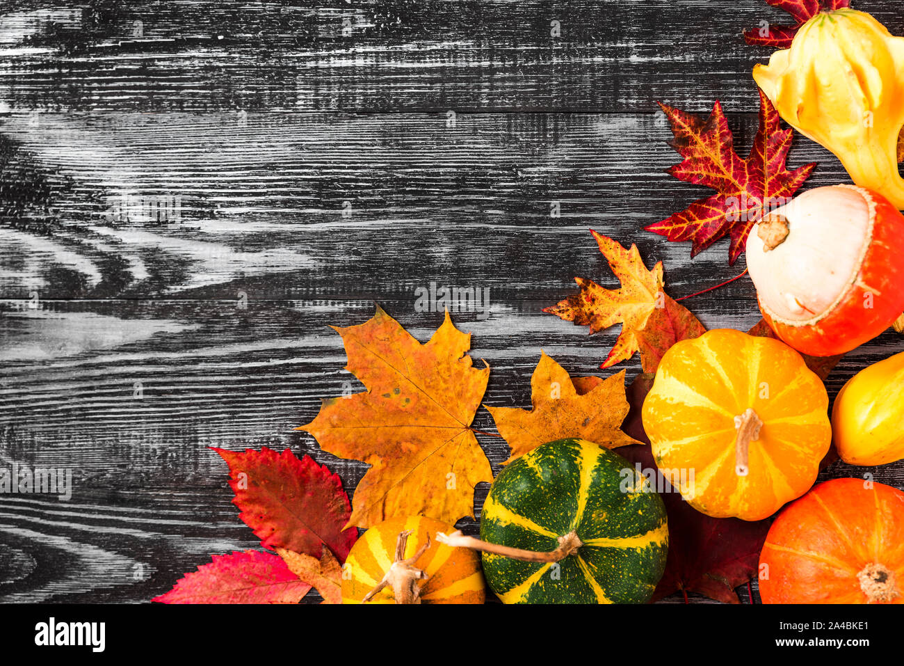 Thanksgiving oder Halloween Hintergrund. Festliche Herbst Zusammensetzung mit Kürbissen und Blätter auf schwarz Holztisch. Flach. Ansicht von oben mit der Kopie Raum Stockfoto
