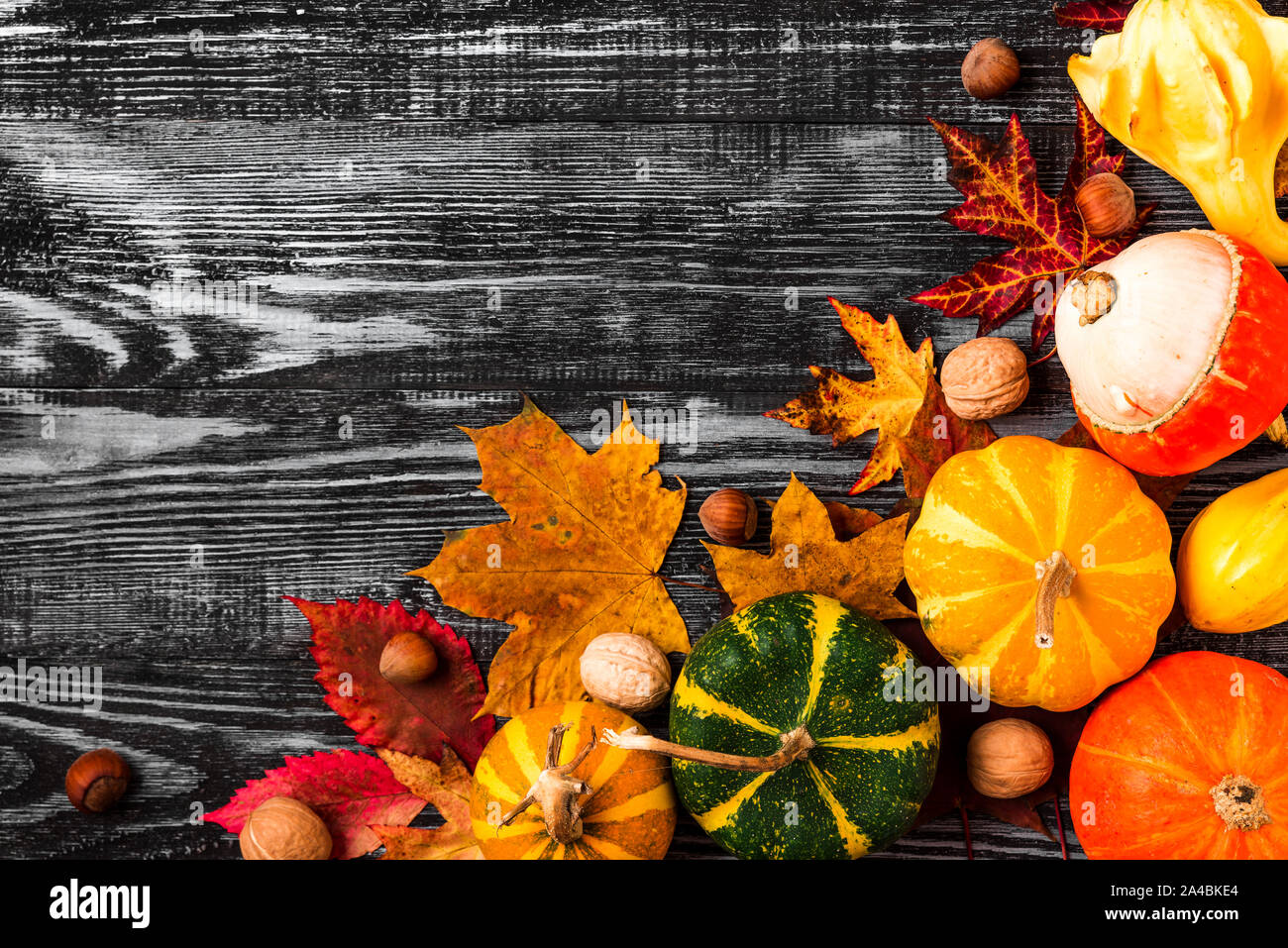 Herbst Komposition. Kürbisse, Herbstlaub und Muttern auf schwarzem Holz- Hintergrund. Thanksgiving oder Halloween Hintergrund. Flach. Ansicht von oben mit der Kopie spac Stockfoto