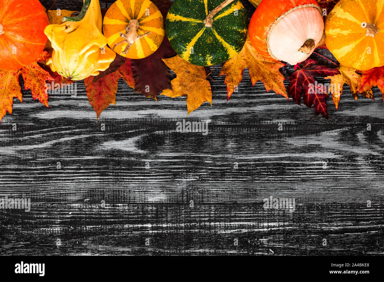 Thanksgiving oder Halloween Hintergrund. Herbst Komposition. Kürbisse mit Herbstlaub auf schwarzer Holztisch. Flach. Ansicht von oben mit der Kopie Raum Stockfoto