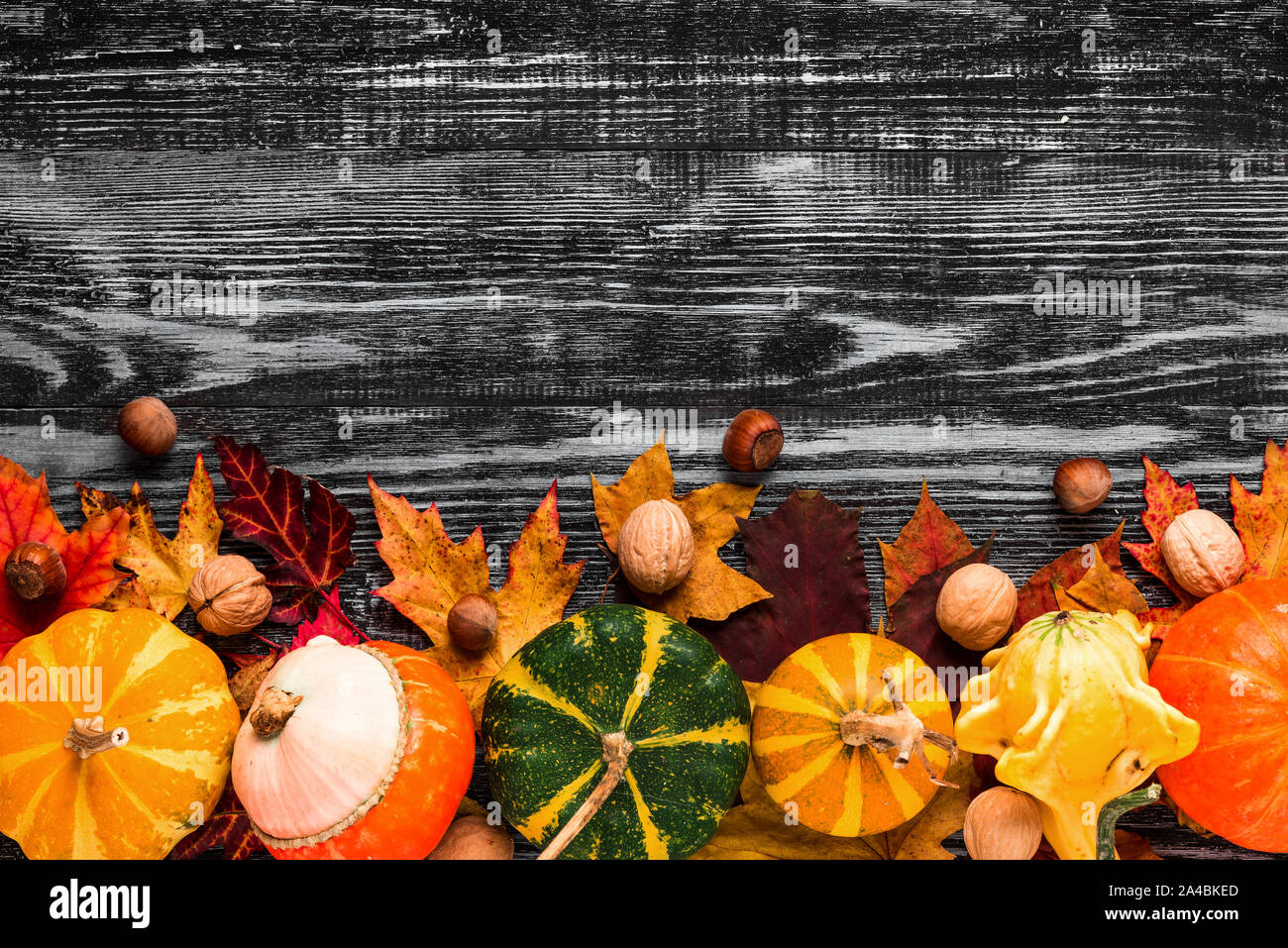 Festliche Herbst Komposition mit Kürbisse, Nüsse und Blätter auf schwarz Holz- Hintergrund. Thanksgiving oder Halloween Konzept. Flach. Ansicht von oben mit c Stockfoto