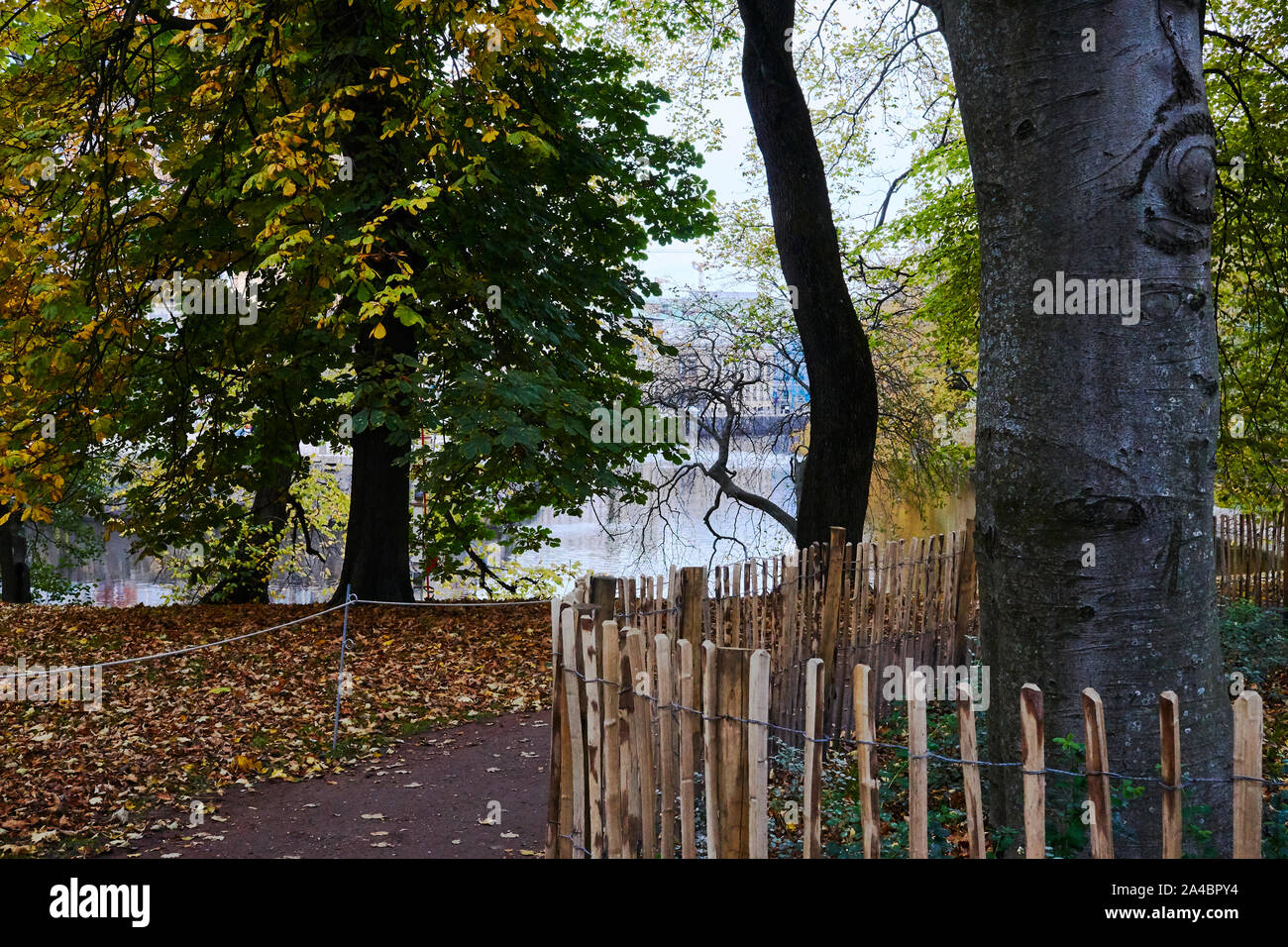 Herbst Licht in Göteborg Tradgarden Stockfoto