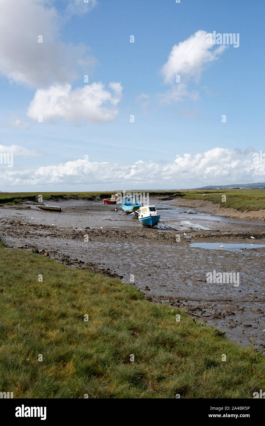 Loughor-Mündung bei Ebbe, von Penclawydd auf der Gower-Halbinsel, Wales, Großbritannien, Walisische Küste, britische Küste. Stockfoto Loughor-Mündung bei Ebbe, von Penclawydd auf der Gower-Halbinsel, Wales, Großbritannien, Walisische Küste, britische Küste. Stockfoto