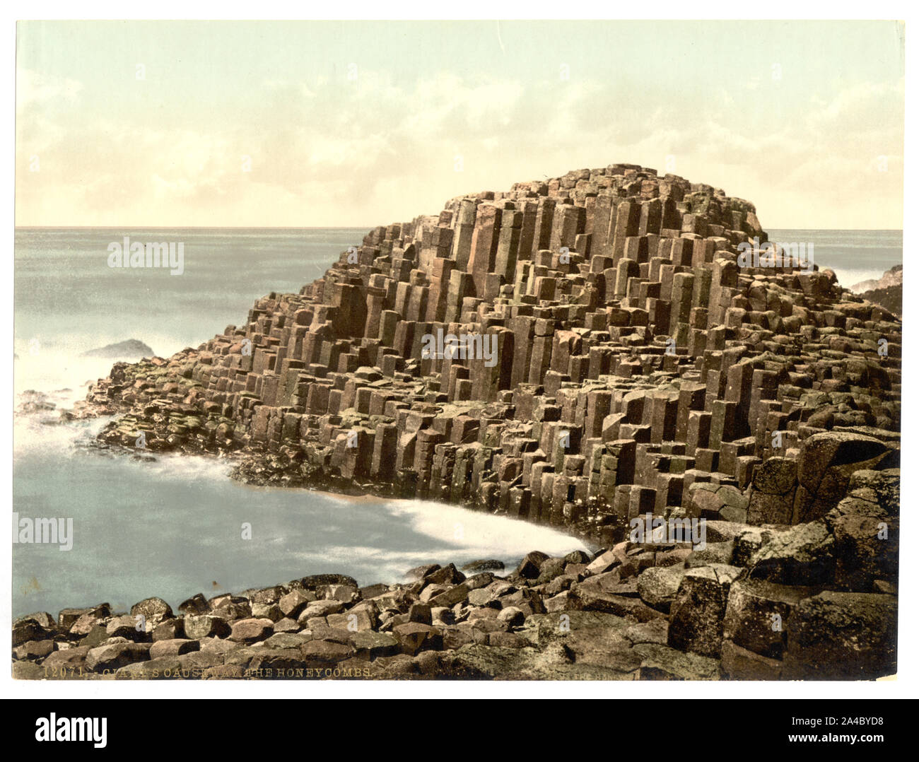 Die Waben, Giant's Causeway. County Antrim, Irland Stockfoto
