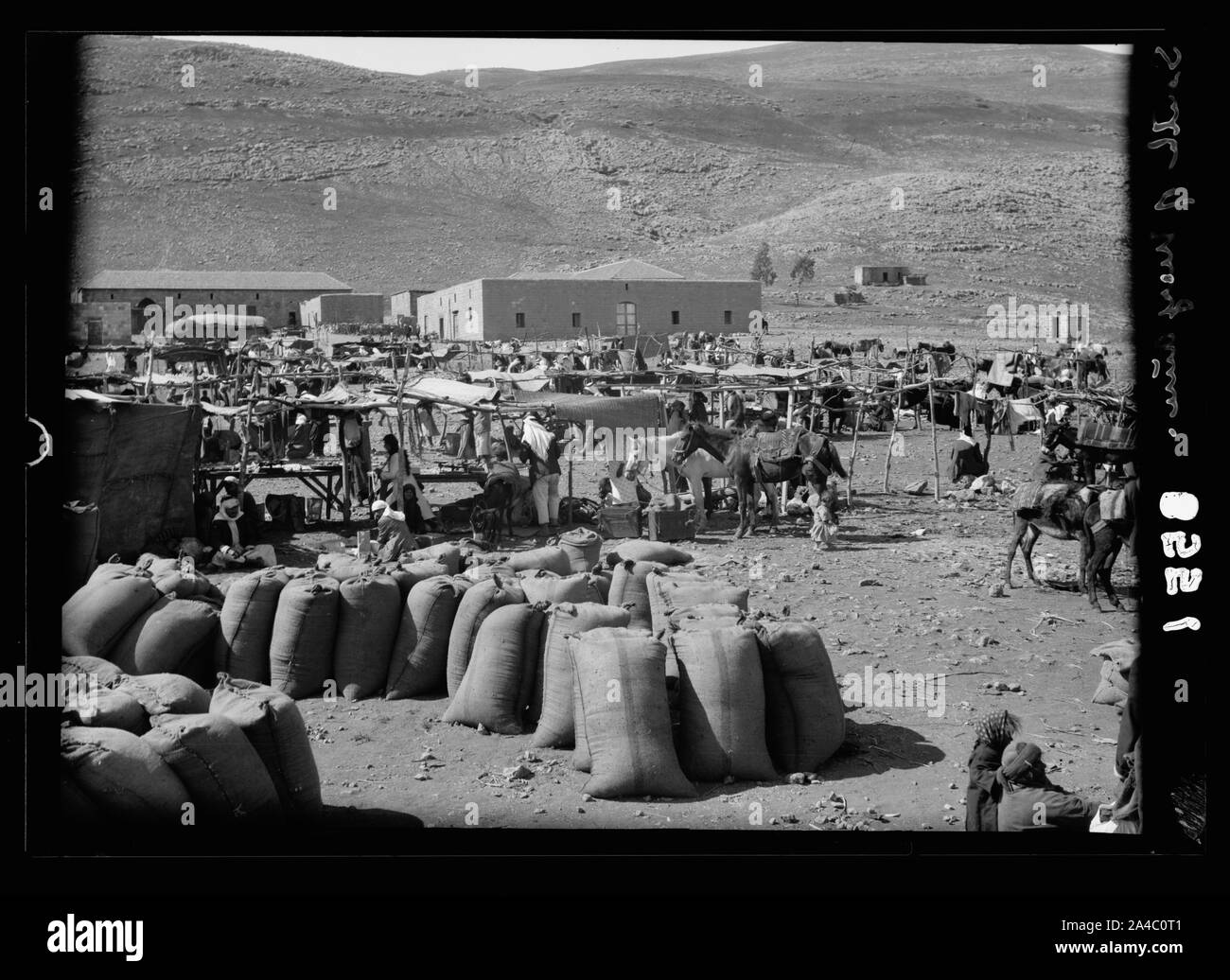 Das Jordan Tal nördlich des Sees von Galiläa. Wochenmarkt Stockfoto