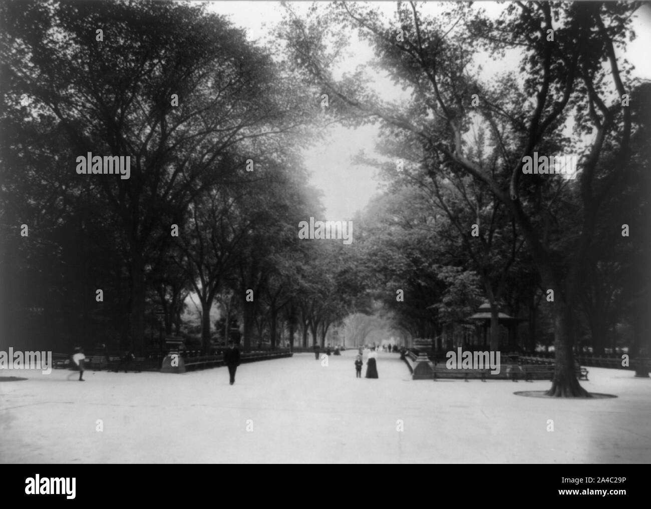 Die Mall, Central Park, New York City Stockfoto