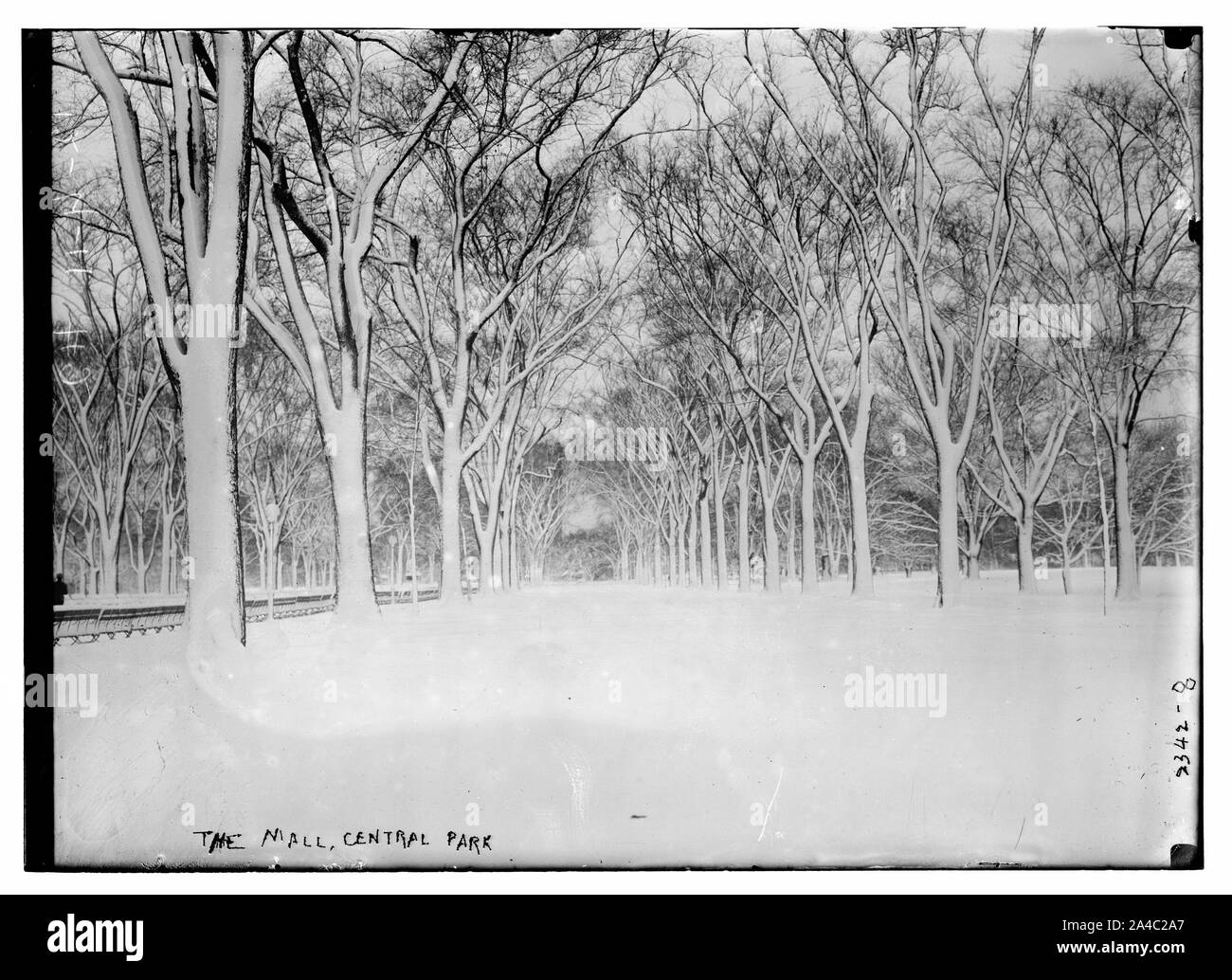 Die Mall, Central Park Stockfoto