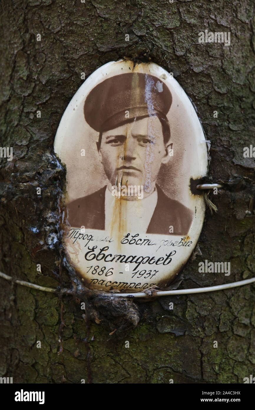 Foto von einem der Opfer des bolschewistischen politischen Repressionen durch seine Verwandten an der Levashovo Memorial Friedhof im Wald installiert neben Levashovo Bahnhof in der Nähe von Saint Petersburg, Russland. Der Wald wurde die Masse Begräbnisstätte der Menschen während der großen Säuberung durch die sowjetische Geheimpolizei NKWD, später als das KGB bekannt ausgeführt. Es waren mindestens 19.000 Opfer der politischen Repressalien hier von 1937 bis 1954 begraben. Nach anderen Quellen, etwa 45.000 Menschen könnten an der Levashovo Memorial Cemetery in anonymen Gräbern. Stockfoto